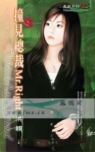 撞見總裁Mr.Right (撞見愛情之一)