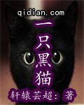 一只黑猫