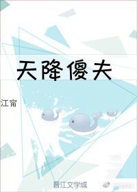 天降傻夫