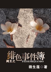 《(网王同人)网王之绯色事件簿》