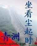 《坐看尘起时》