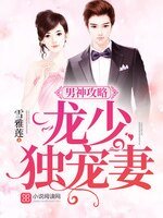 男神攻略:龙少独宠妻