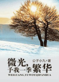 微光,予我一季繁華