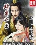《娇妻如云》
