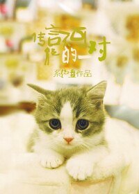 传言不可能的一对