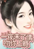 《一夜未了情:吻你上瘾》