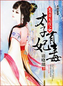 《宠妻无度之太子妃有毒》