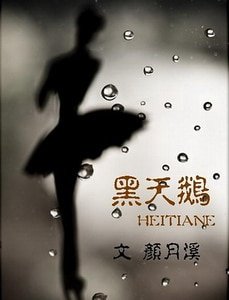 黑天鹅（高干军旅）