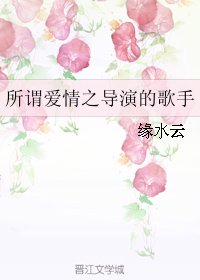 所謂愛情之導演的歌手/導演的歌手