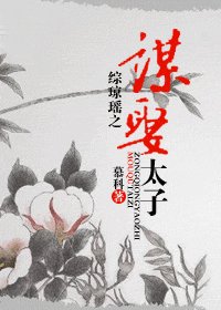 (综琼瑶同人)综琼瑶之谋娶太子