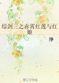 （BL/综同人）综剑三之赤霄红莲与红姬