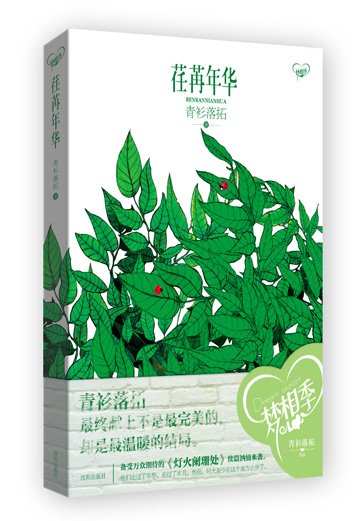 荏苒年华(出书版)