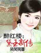 醉紅樓:黛玉新傳