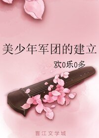 美少年軍團的建立