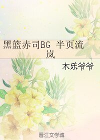 (黑籃同人)黑籃赤司BG 半頁流嵐