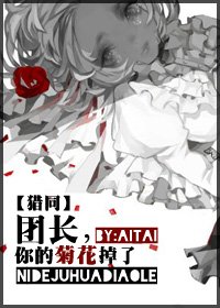 〔獵人同人〕團長,你的菊花掉了