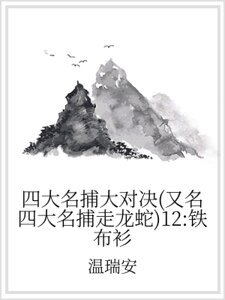 四大名捕大對決(又名四大名捕走龍蛇)12:鐵布衫