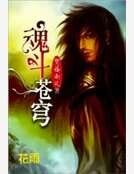 《魂斗苍穹》