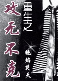 重生之攻无不克(杀手系列之⑥终结者)