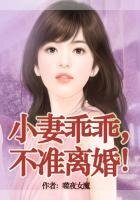 老婆乖乖,不准离婚!