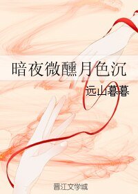 暗夜微醺月色沉