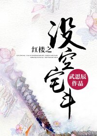 (紅樓同人)紅樓之沒空宅鬥