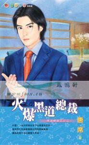 火爆黑道總裁(黑道總裁之三)