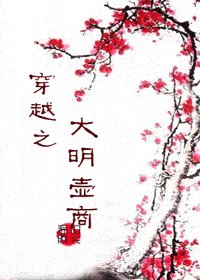 穿越之大明壺商