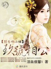 别惹四小姐:玖号相公