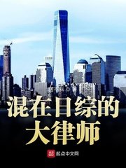 (綜同人)混在日綜的大律師