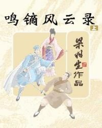 鳴鏑風雲錄上冊(簡體)