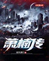 《萧楠传》