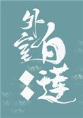 外室白蓮手冊