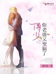 傅少,你老婆又變貓了