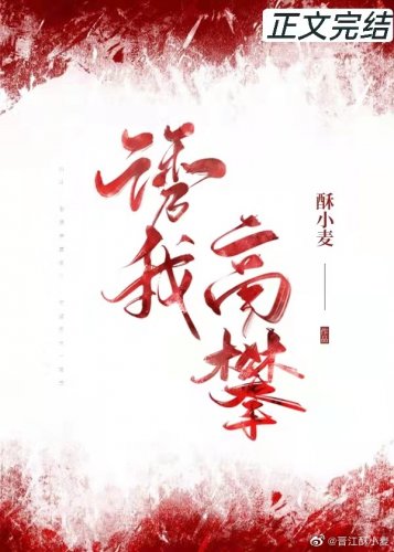 诱我高攀