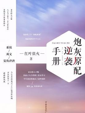 炮灰原配逆袭手册