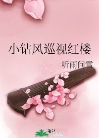 (BG/紅樓夢同人)小鑽風巡視紅樓