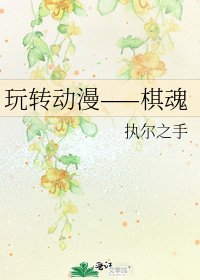 玩转动漫——棋魂