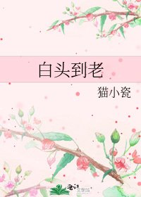 白頭到老