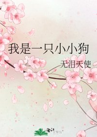 我是一只小小狗