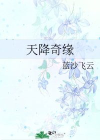 《天降奇缘》