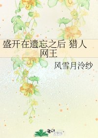 盛開在遺忘之後 獵人網王