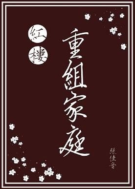(红楼同人)红楼重组家庭