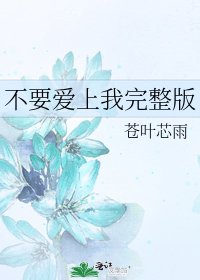 不要愛上我完整版