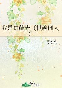 我是进藤光(棋魂同人)