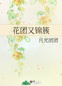 《花团又锦簇》