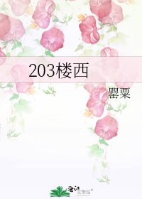 《203楼西》