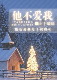 他不爱我
