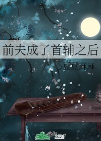 前夫成了首辅之后