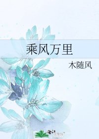 乘風萬里